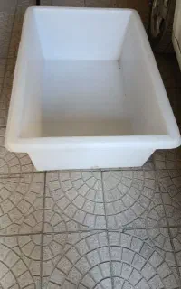 وان گوجه