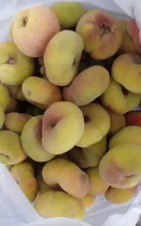 هلو انجیری شیرین