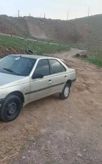 ماشین پژو 405