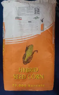 شوش