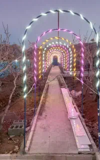 ریسه نوری