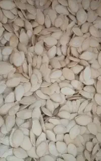 تخم کدو تمیز