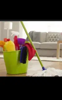 نیرو خانم هستم کار نظافت انجام میدم