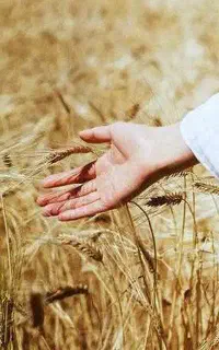 مشاوره تلفنی و همراهی در تصمیم‌گیری