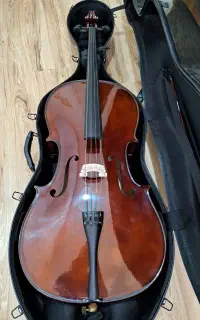 ویولنسل cello 4/4 مدل TF146 باسیم پیراسترو سبز