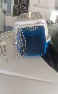 باکس سگ