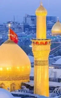 مسافر راه کربلا