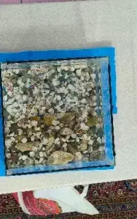 آکواریوم
