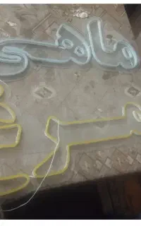 ال ای دی مرغ و ماهی