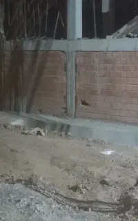 ارماتوربند میخام ۱۰۰مترکاره