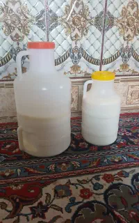 شیر تازه