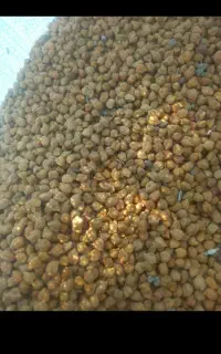 نخودسیاه لپه ای