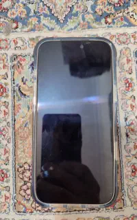 گوشی دنبال صاحب