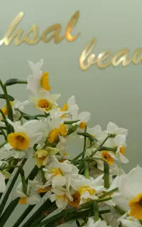 رنگ و لایت فقط هزینه مواد و تضمینی