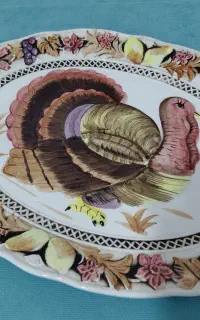 دیس خیلی بزرگ بوقلمون ۷۰ ساله