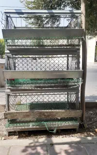 قفس بزرگ مرغی