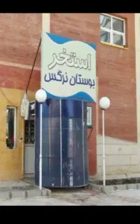 بلیط استخر نرگس
