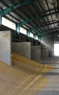 نیازمند حسابدار در خوراک دام