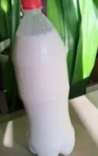 دوغ محلی میمه