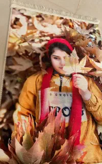 تابلو نقاشی ف،ر،ش