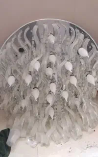 فروش لوستر
