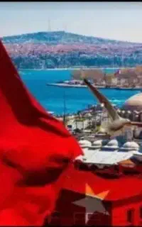 استخدام کاری درترکیه