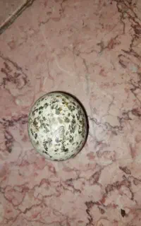 سنگ آسیاب الماس