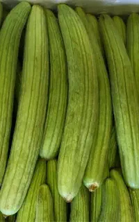 خیار محلی و خیار چنبر