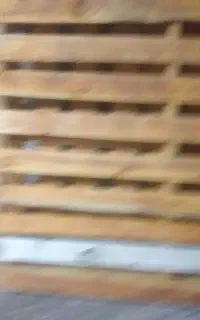 پالت
