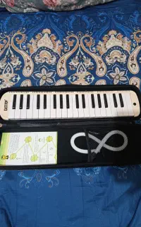 ساز دهنی ملودیکا نو