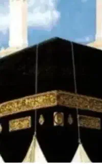 فیش حج