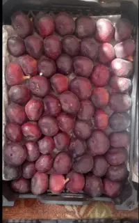 انجیر درجه یک عسلی