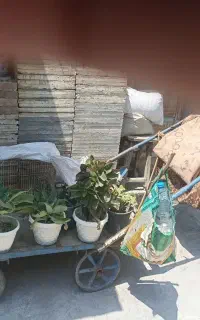 گاری