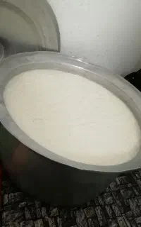 دوغ تازه تلمی محلی گوسفندی باغستان