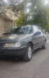 پژو405