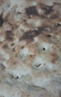 نان خشک  نونخشک