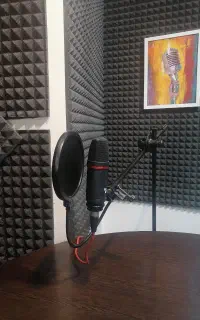 دوبله و گویندگی