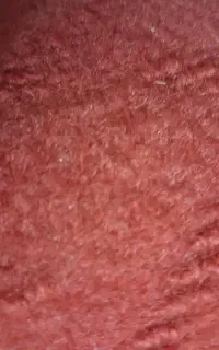 موکت