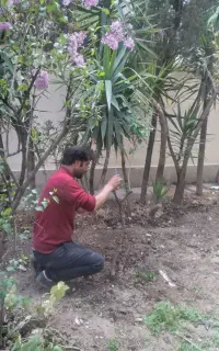 خدمات باغبانی سم پاشی تهران حومه