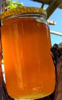 عسل طبیعی ( کوهی)