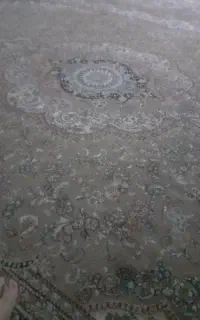دار قالی