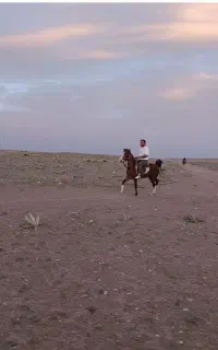 کره مادیون ترکی