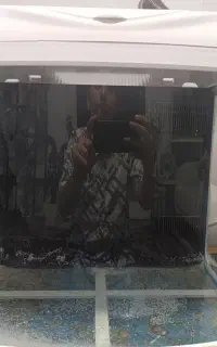 اکواریوم دلسا