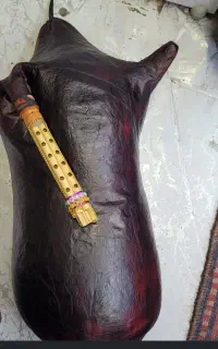 نی انبان نی همبون
