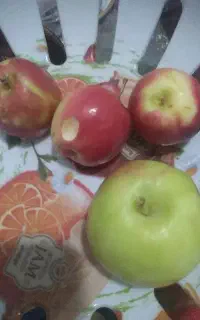 خریدارخرما