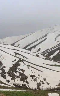 هرس