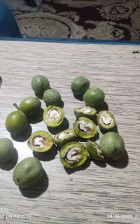 گردو تازه درجه یک با مغز سفید