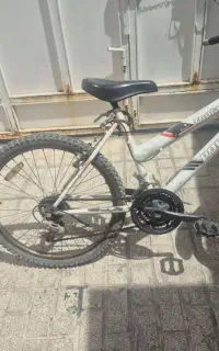 دوچرغه