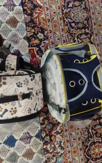 کیف وکوله سگ