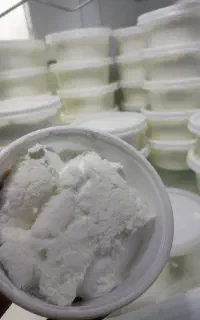 سرشیر گاومیش شوشتر